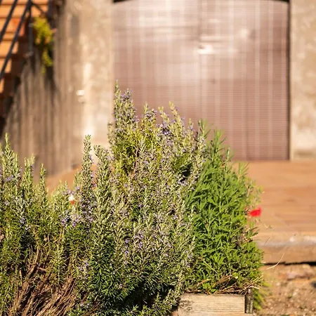 Casa Rural, Cirera *