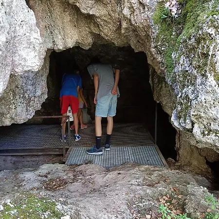 Cirera, *